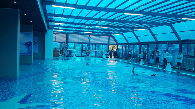 Gelexia Riverside sở hữu bể bơi 4 mùa chuẩn nghỉ dưỡng